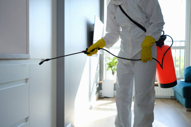 Best Mold Remediation for Healthcare Facilities  in Gregory, SD