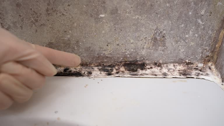  Gregory, SD Mold Removal Pros